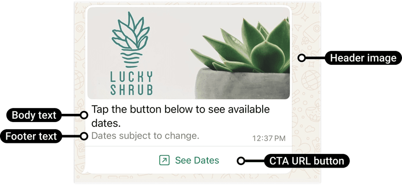 Interactive URL Button Message