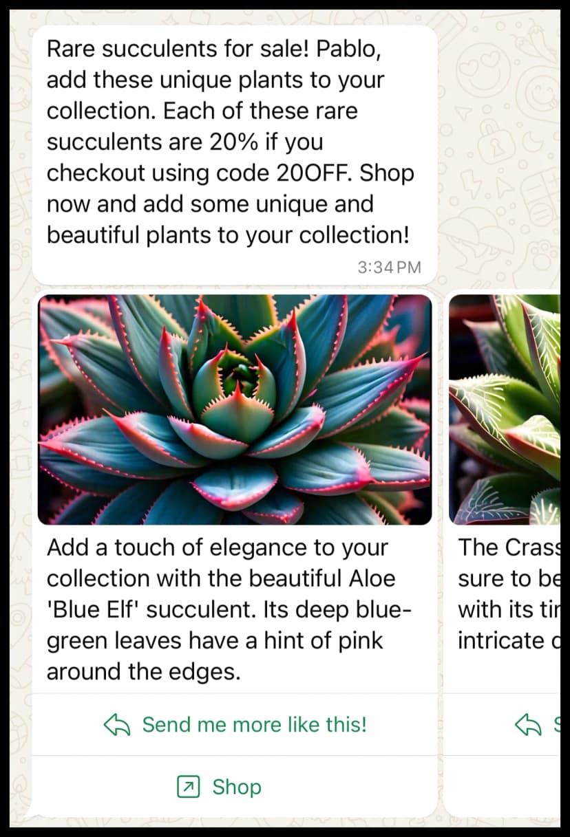 Carousel Template Example